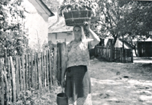 eika image